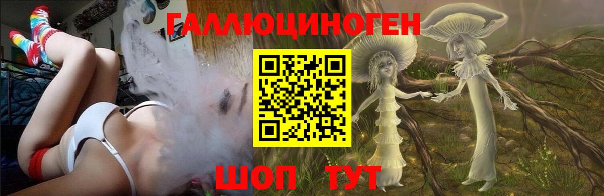 Альметьевск  Галлюциногенные грибы Psilocybine cubensis  Галлюциногенные грибы Psilocybe  Вход с VPN 